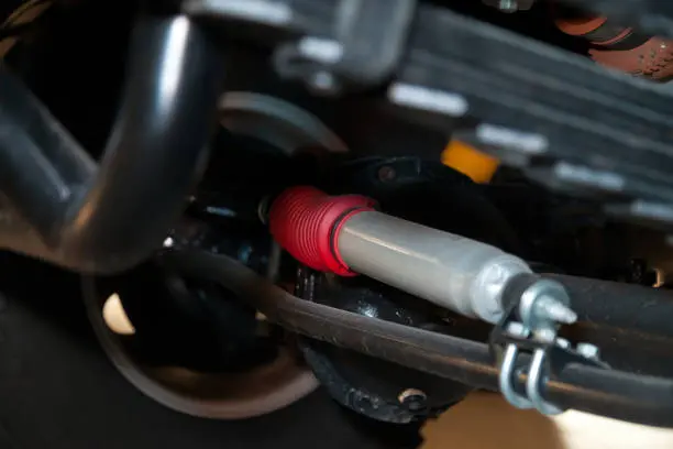 आपने झाड़ियाँ बदल दीं... तो गंदगी क्यों? 5 इंस्टालेशन गलतियाँ लगभग